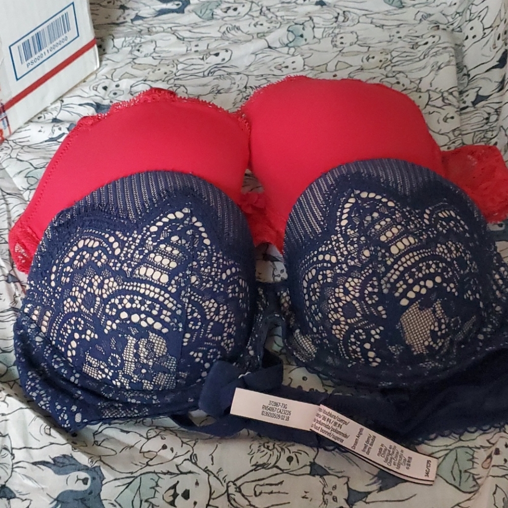 VS bras Dream Angels